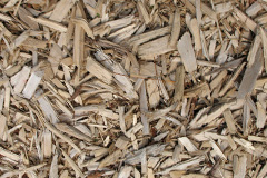 biomass boilers Carnwadric